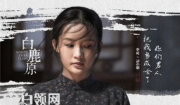 床戏小视频,床戏小视频背后的情感纠葛